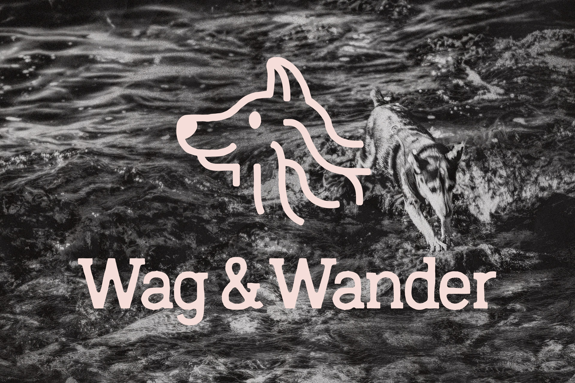 Wag & Wander Project